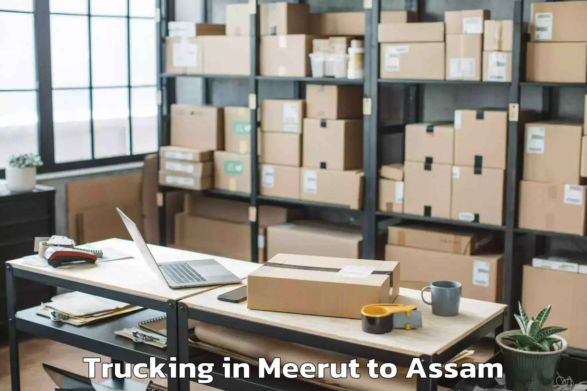 Hassle-Free Meerut to Dhubri Pt Trucking